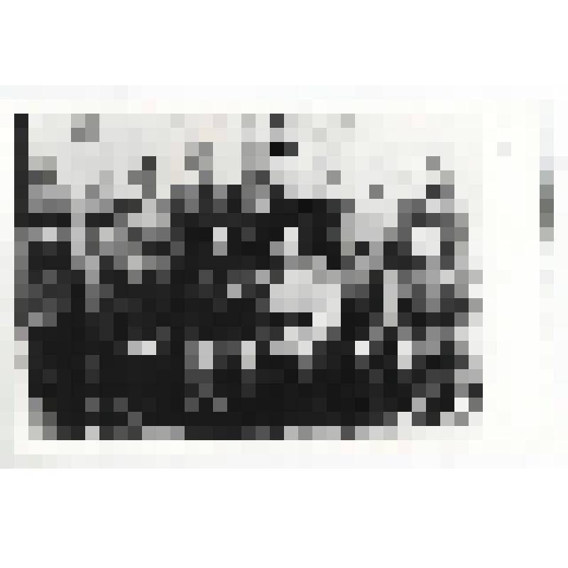 Фотография. Личный состав зенитного взвода  бронепоезда "Сталинец" 32 дивизиона бронепоездов