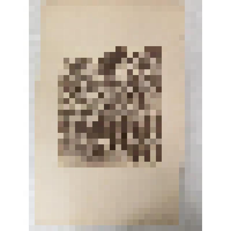 Топографическая фотография: Венеция. Фрагмент Дворца Дожей со стороны двора