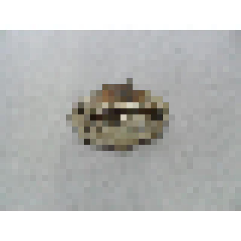 Значок "Свобода" в память победы февральской буржуазно-демократической революции в России