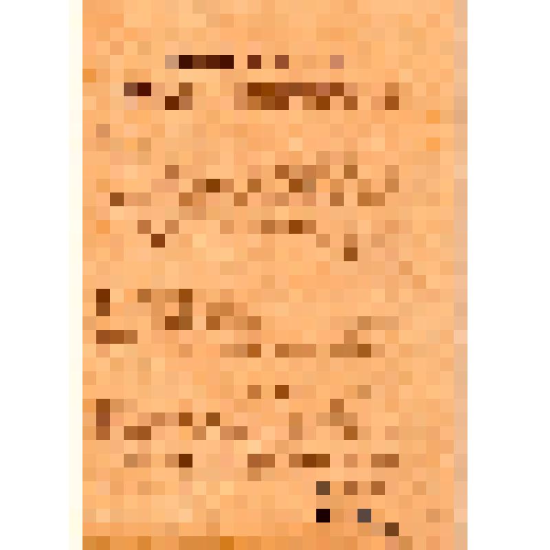 Формула торжественного обещания, утвержденная в заседании Всероссийского исполнительного комитета советов рабочих, солдатских, крестьянских и казачьих депутатов от 22 апреля 1918 года