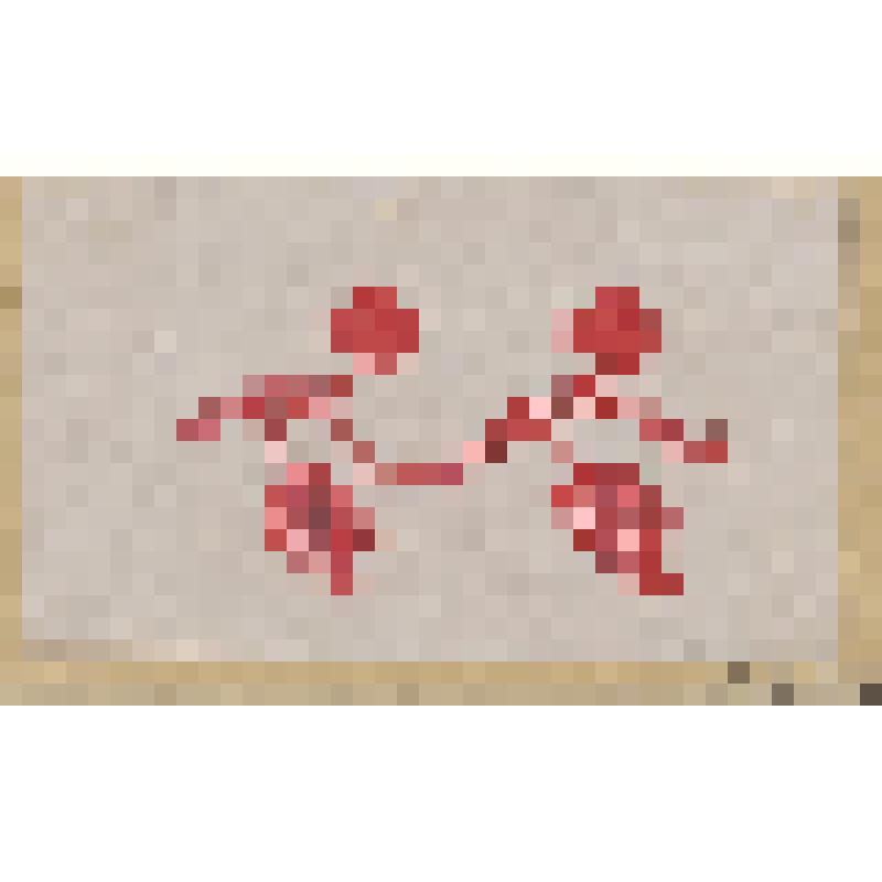 Виноград, гравюра