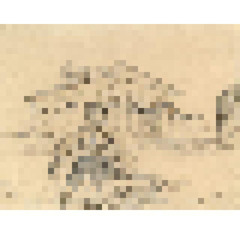 Рисунок "Собако-питомник. Заведующий питомником Захар Захарович Кулесов"