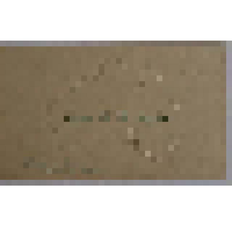 Карточка визитная "R.B. Biglow"