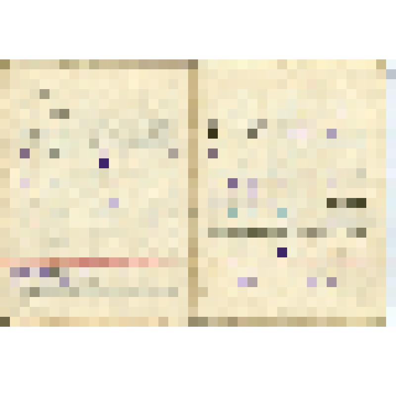 Служебная книжка ОЕ № 012337 военнослужащего срочной службы Вооруженных Сил ССР Радаева Николая Дмитриевича