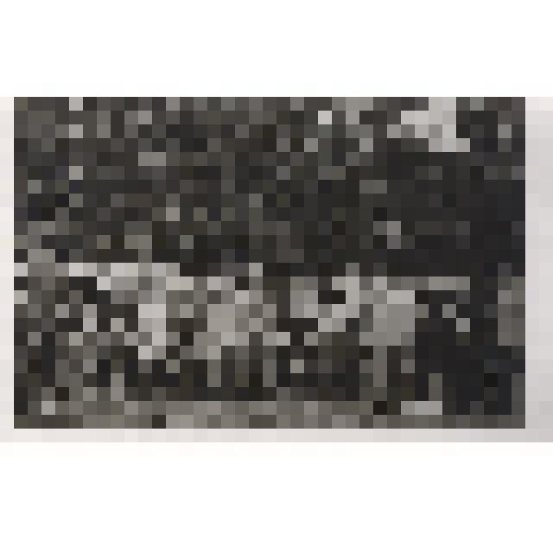 Фотография. Участники конференции врачей на курорте "Тинаки"