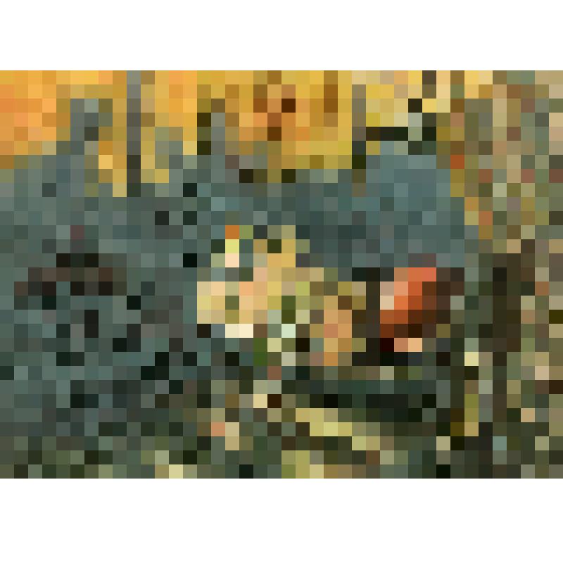 Открытка, цветная иллюстрация к произведению Дж. Родари 
" Приключения Чиполлино." 1956 г