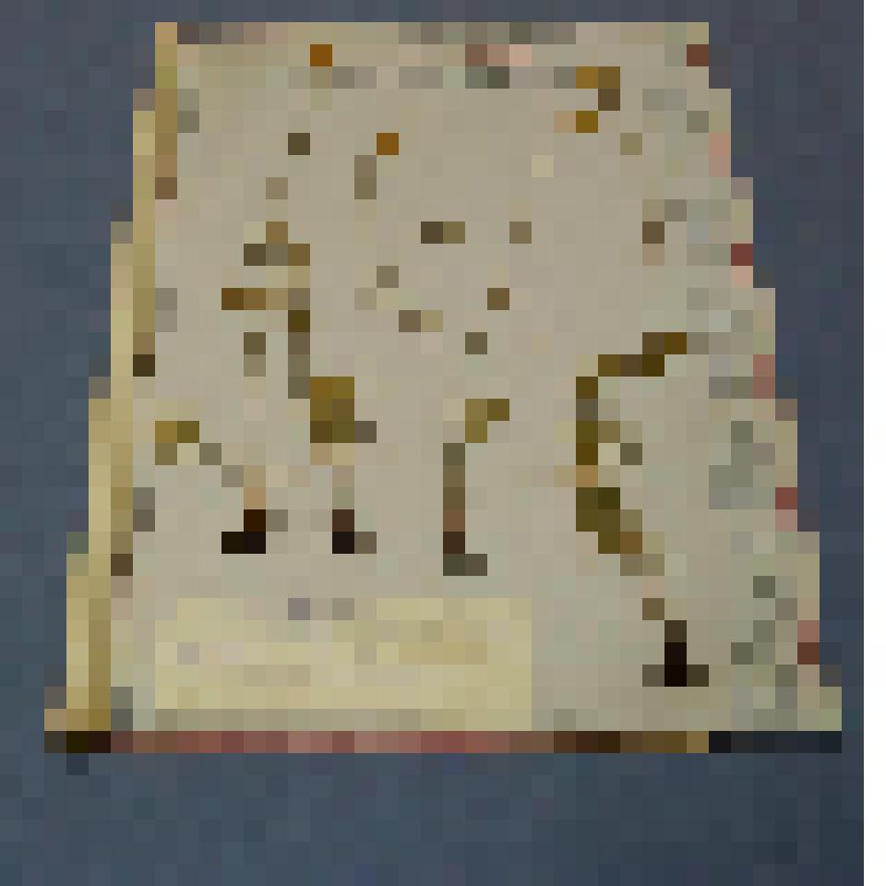 Ботаническая коллекция. Белозер болотный, семейство камнеломковые, на гербарном листе, Красноярский край, Идринский район, окрестности села Идры, луг разнотравный. Saseifradaceae Parnassia Palustrus Z