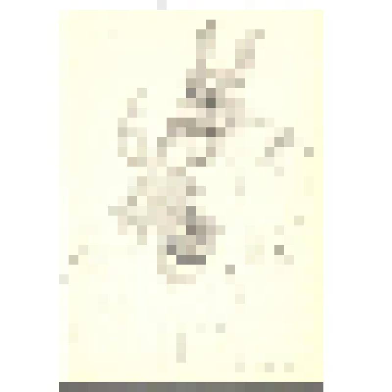 Эскиз куклы. "Ослы". "Сон в летнюю ночь". Челябинск, Театр кукол