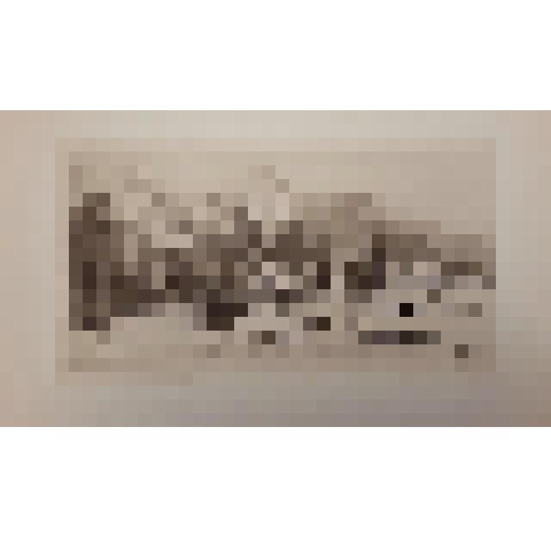 США. Нью-Йорк. Общий вид. Malcolm C. Salamon, London