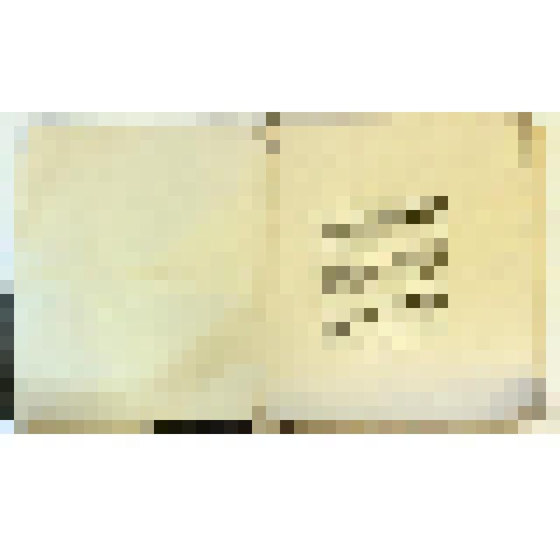 Книга. Раскопки по среднему течению р. Угры (Ока. Бассейн р. Волги) / Н.И. Булычев. - М.: Тип. Г. Лисснера и Д. Собко, 1913. - 77 с.; 9 табл