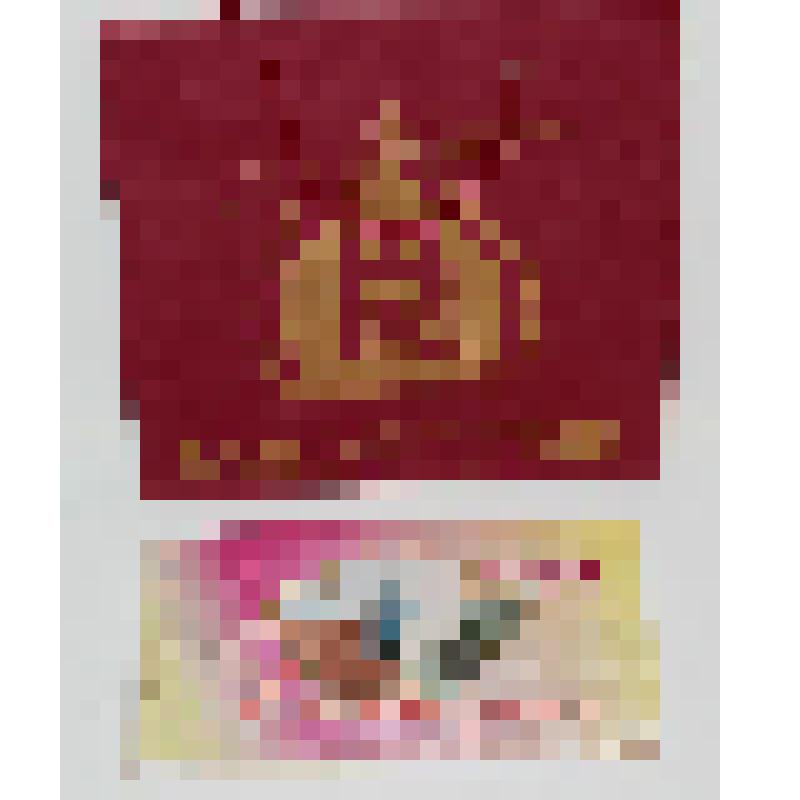 Проспект «Вековая вуаль Благовещенска» с фотографиями архитектурных памятников города Благовещенска в сувенирном пакете