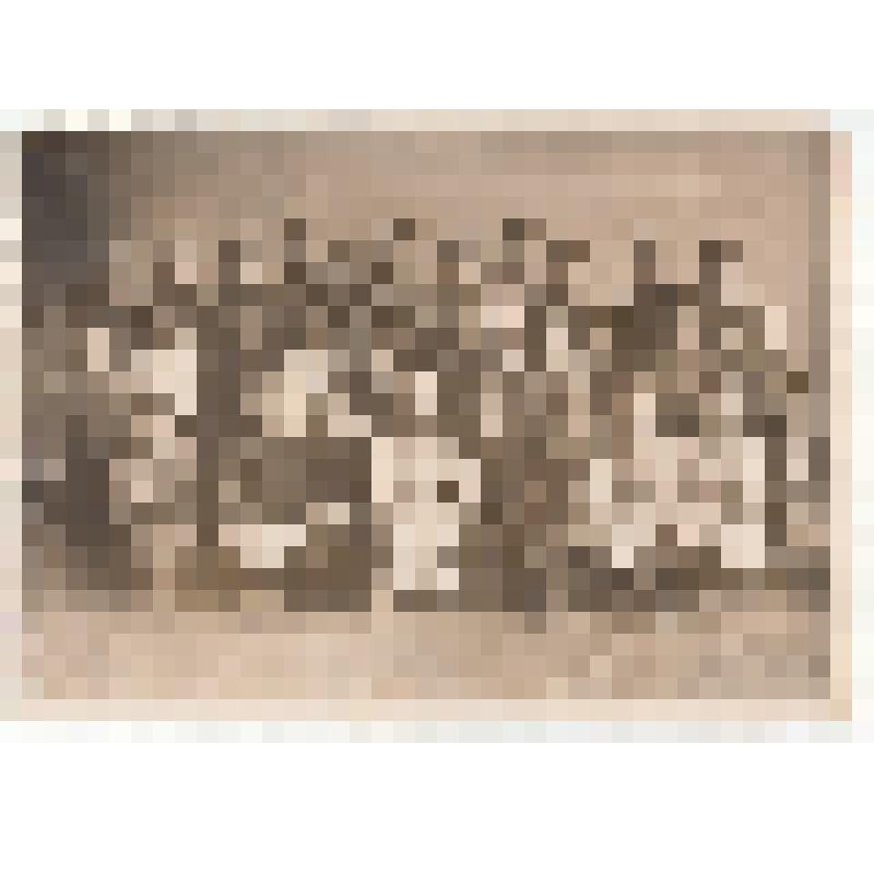 Ф/чб. Славиков Адольф в группе одноклассников 5-6 класс школы № 16 (ЗИУ). Энгельс. 1948-1949