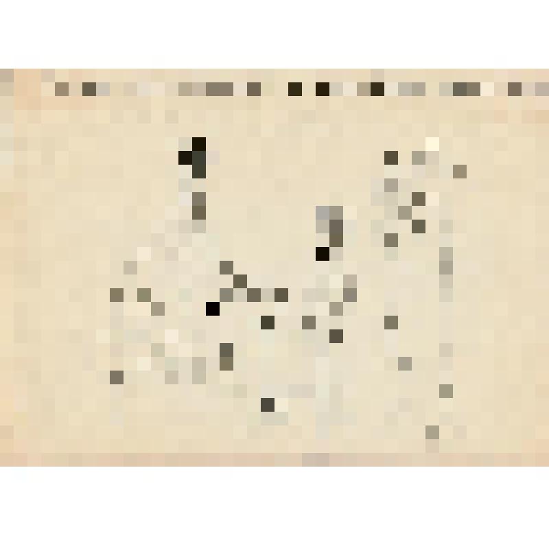 Иллюстрация к повести Кассиля Л.А. "Кондуит и Швамбрания". Графика