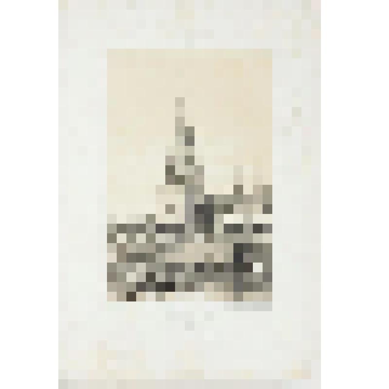 Литография. "Москва. Борисовская башня (Боровицкая). Северо-западный вход в Кремль. Со стороны Москвы реки."