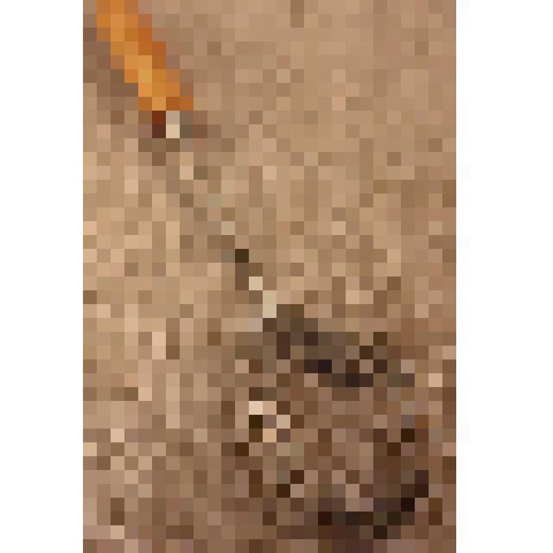 Венчик-сбивалка, из коллекции бытовых вещей семьи Бугаенко Павла Андреевича, профессора филологического факультета Саратовского государственного университета