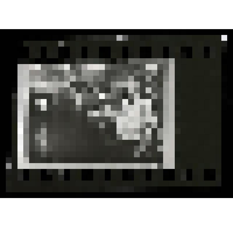 Негатив-воспроизведение. Руководство Южно-Якутской комплексной экспедиции (1950-1954гг). 1950-е годы