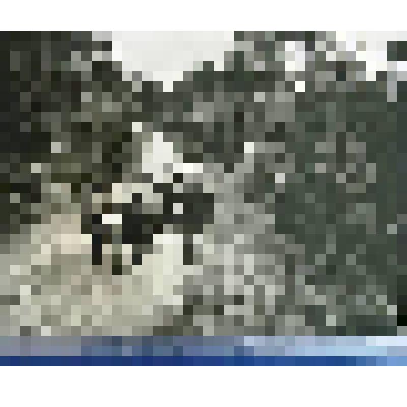 Фотография."Дорога."