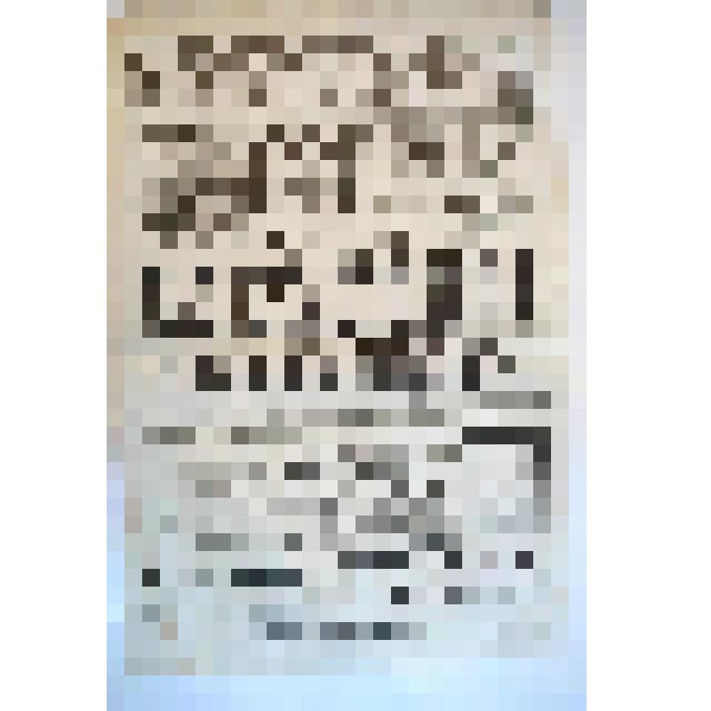 Афиша с исполнителями. "Назар Стодоля или в ночь на рождество"; "Песни в лицах". Астрахань, Летний театр сада "Аркадия", наследник К. А. Полякович; Антреприза, Товарищество русско-малорусских артистов под управлением А. Ф. Шатковского