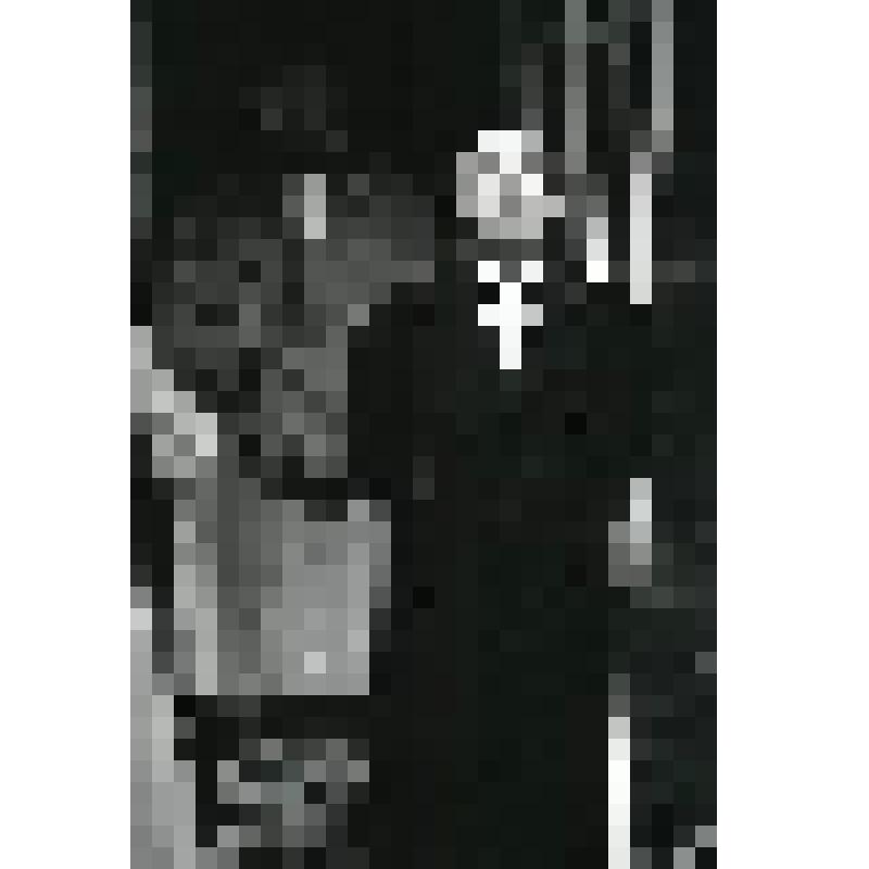 Негатив черно-белый. Кулыгин - Мягков А.В. "Три сестры" (1997 - 2003)
