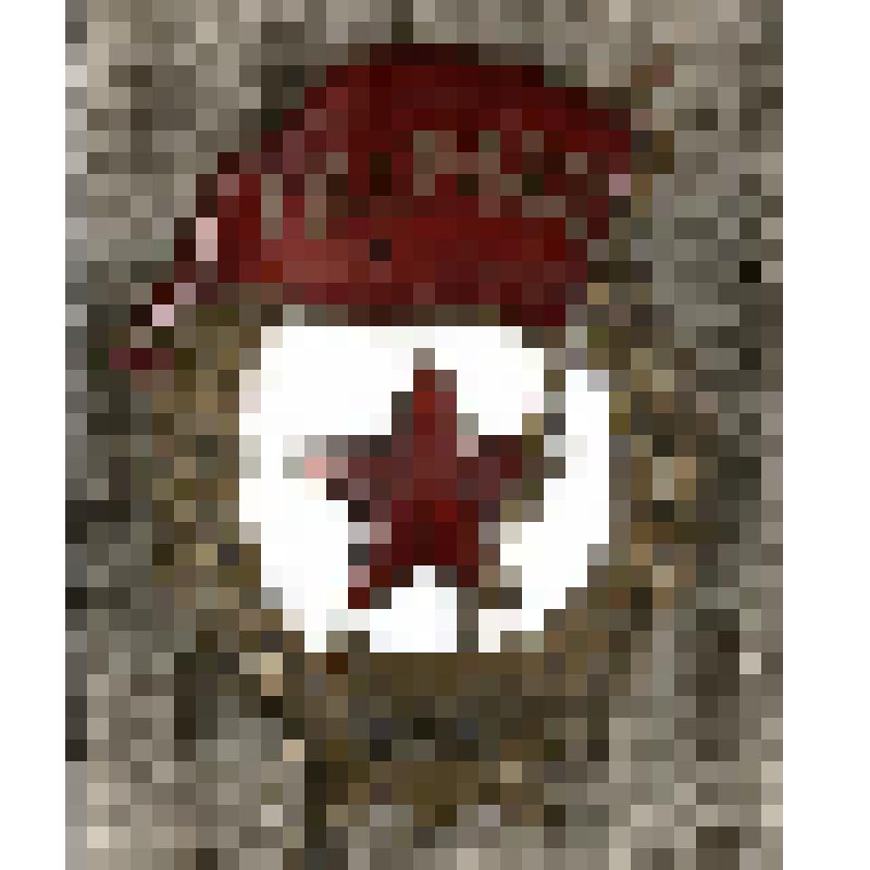 Знак нагрудный «Гвардия»