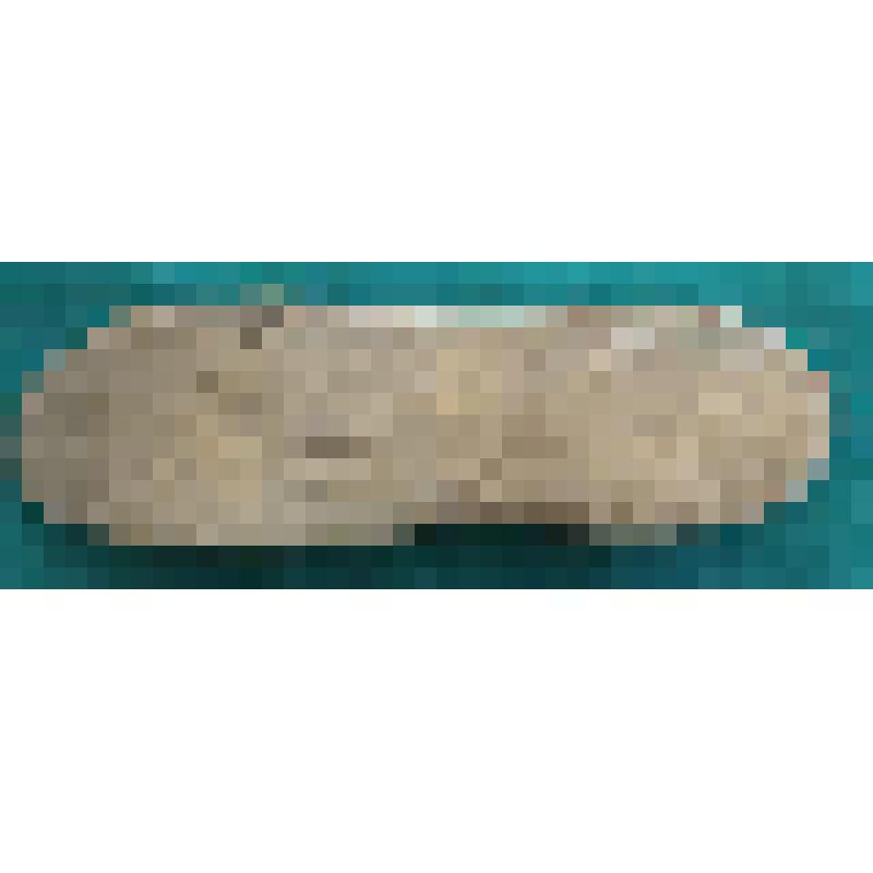Колодка сапожная