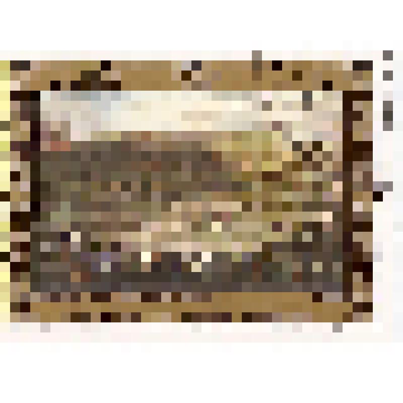 Марка № 106 «Бой быков». Почтовые марки Кубы. Из комплекта:  Живопись из Национального музея. Гавана