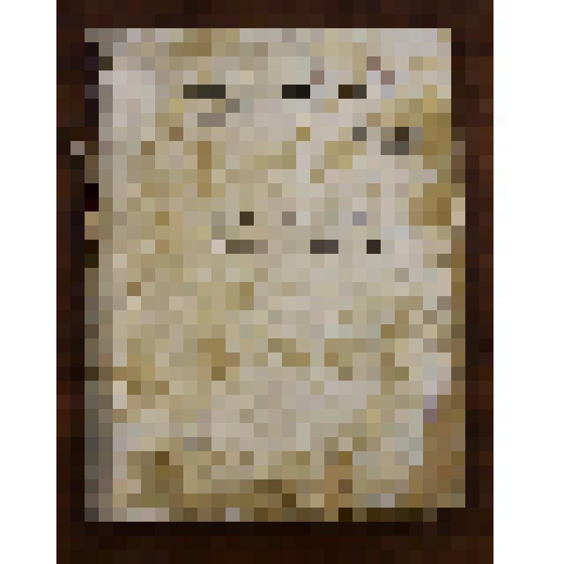 Книга. Лоцманская карта реки Вах от селения Ларьяк до 58 км / Министерство речного флота РСФСР ; Главводпуть ; Иртышское бассейновое управление пути. - Ленинград : Центральная картографическая фабрика Военно-морского флота, 1980