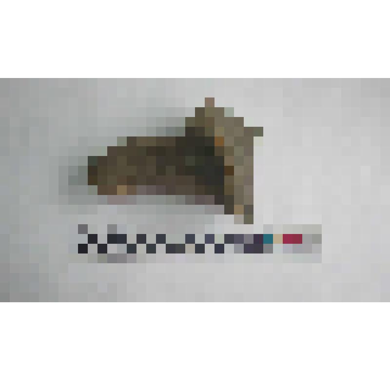 Фрагмент ручки амфоры типа Зеест 80