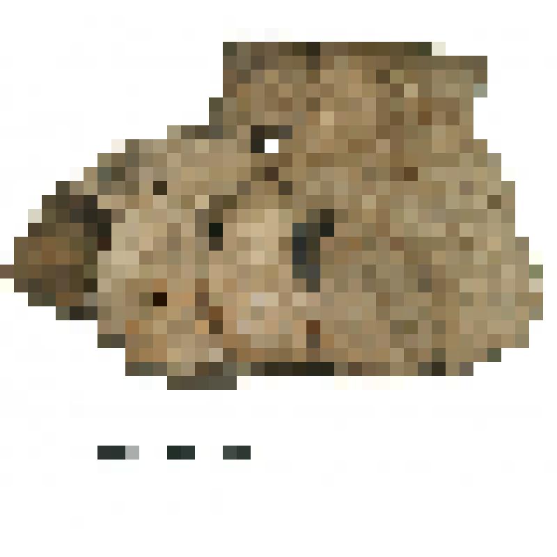 Сосуд. Развал. Памятник Торопово-7