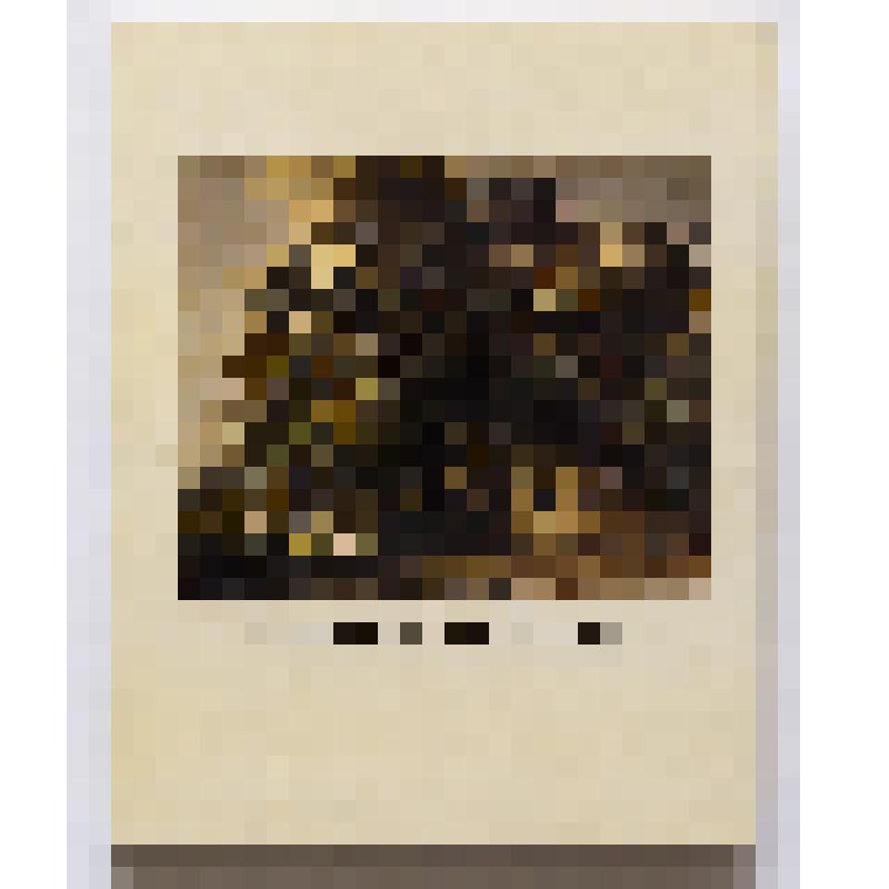 Книга. "Михаил Лебедев"