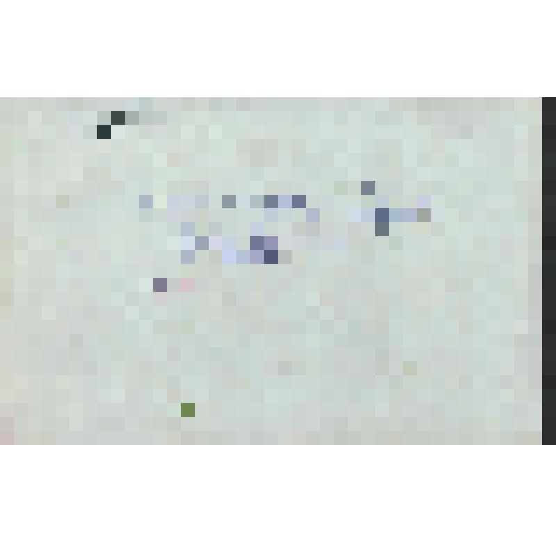 Фотография. Первые пионеры посёлка Будогощь