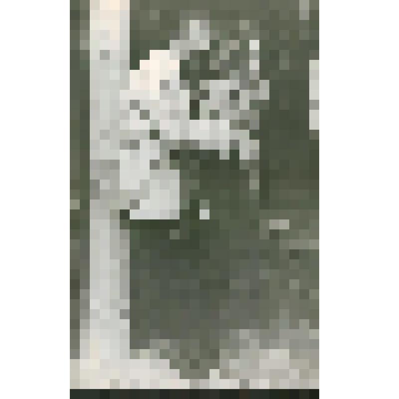Фотография. Шаляпин Ф.И. и Шаляпин Б.Ф. в Ратухино
