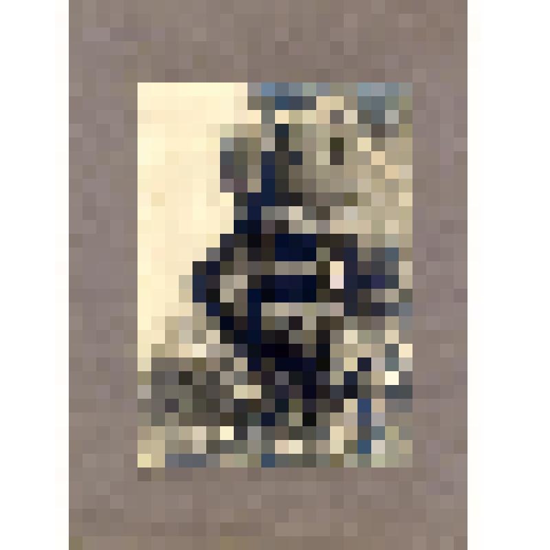 Фотография. Дом № 2 по ул. Новой после пожара 16 сентября 1928