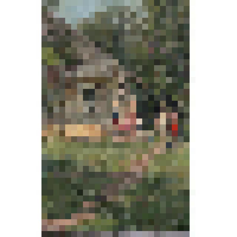 "На академической даче"