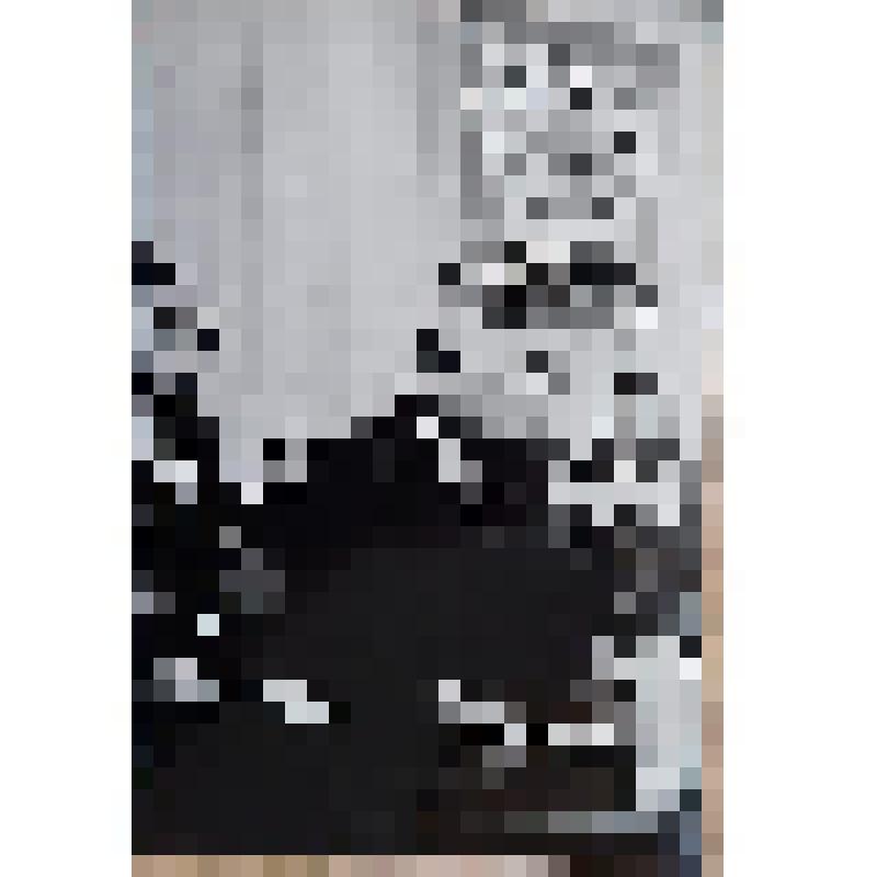 Фотография. Сюжетная. Члены президиума торжественного собрания ветеранов Северо-Западного фронта