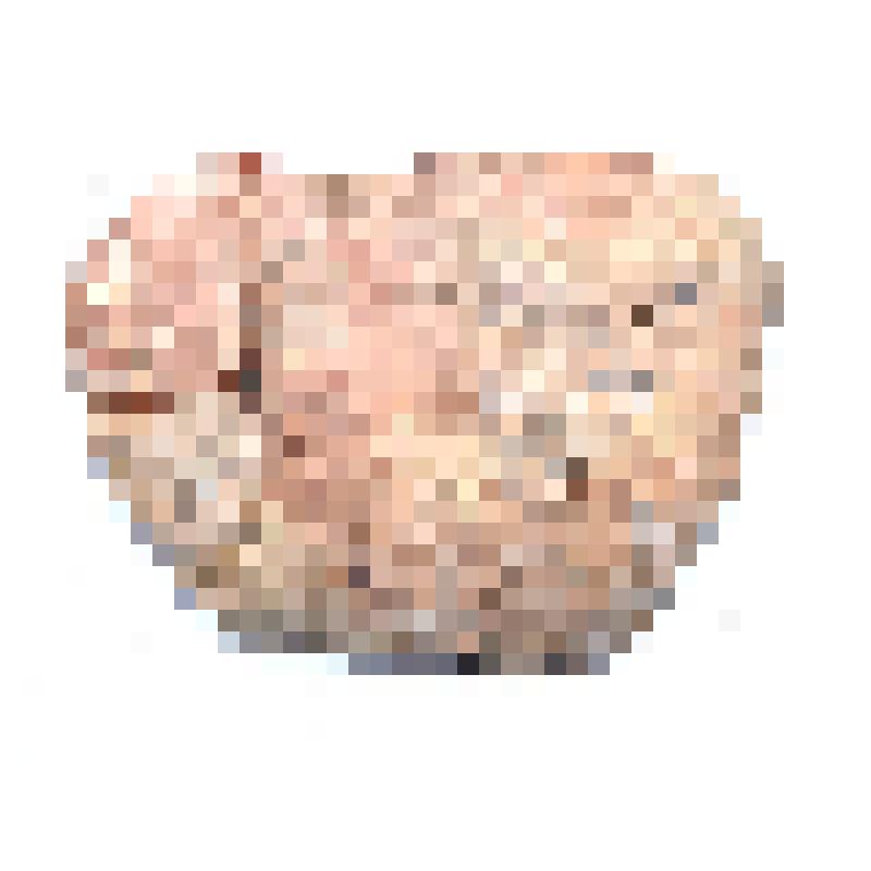 Сосуд (фрагмент)