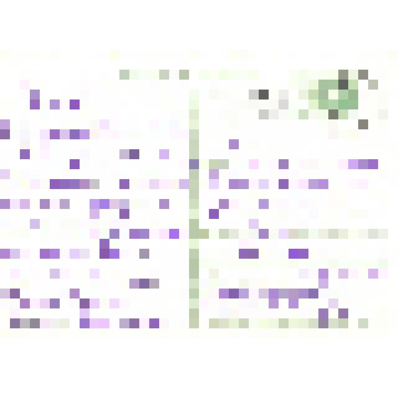 Почтовая карточка. С праздником 8 марта!