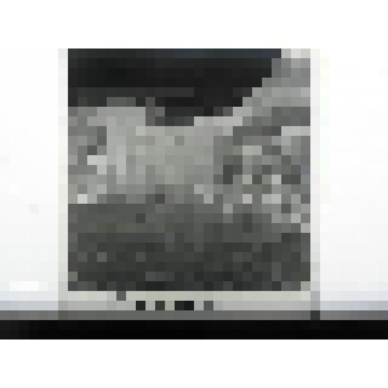 Дом Печерских. втор.пол. XIX в. Челябинская  обл., Кусинский р-н, д. Аршинка. Дом Печерских, втор.пол. XIX в. Часть дома и ворота. Лицевой фасад