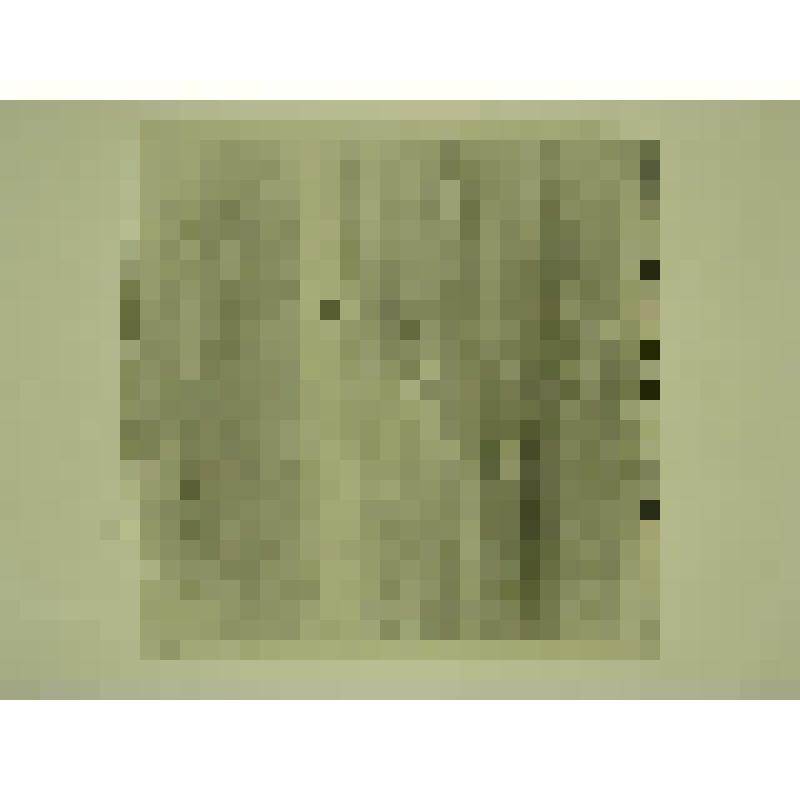 Дом Беспаловых. Ул. Дзержинского, 39. сер. XIX в. Челябинская  обл., г. Карабаш, пос. Южный (с.Саймоновское). Дом Беспаловых. Ул. Дзержинского, 39. сер. XIX в. Щеколда входной двери