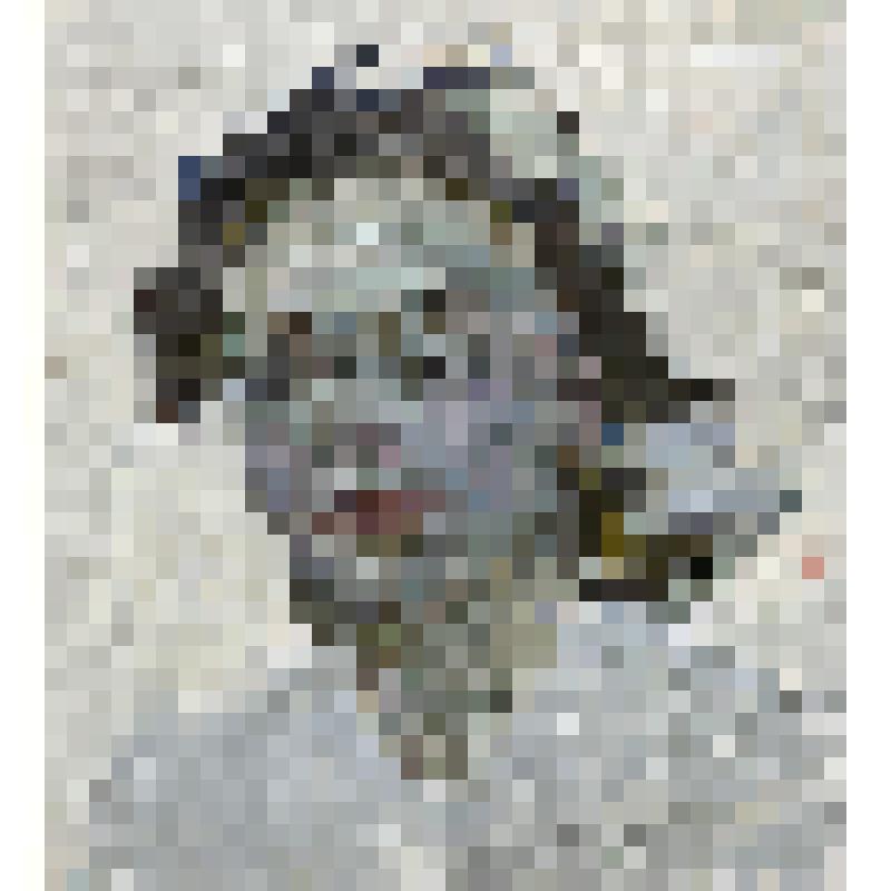 Портрет жены Галины