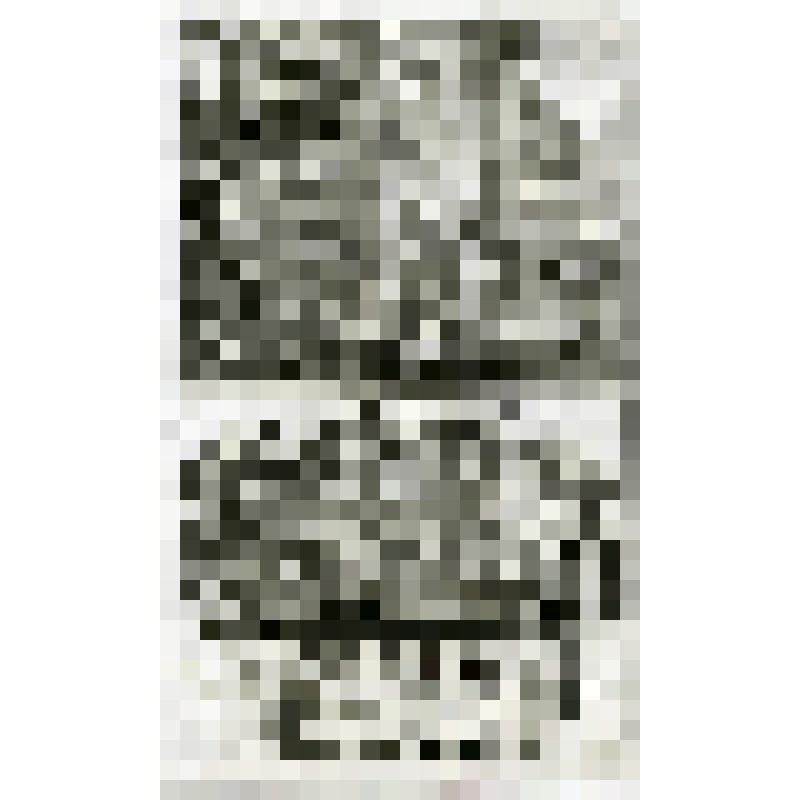 Офорт. Лист 106. Иов и его друзья. Господь дал Иову больше, чем взял у него (Иов.)