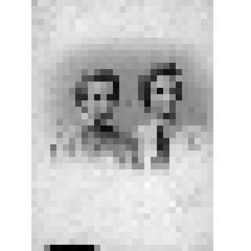 Софья Щепкина (невеста Р.Л.Самойловича) с подругой Евгенией Нейман