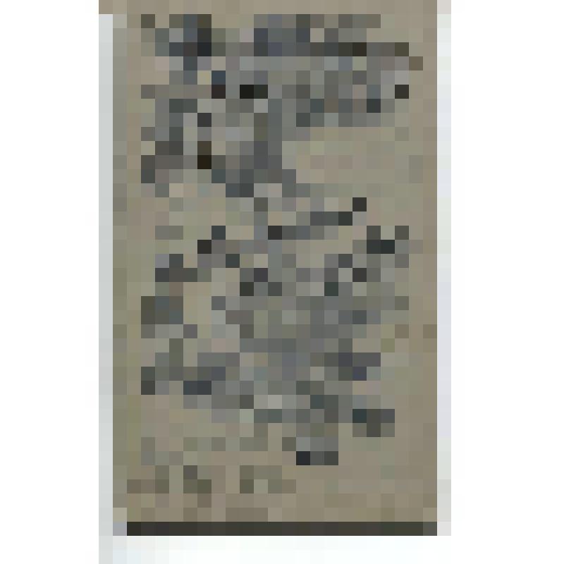 Фотография. Рая Менделева- выпускница женской гимназии