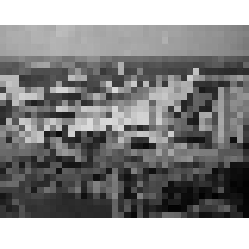 Серия фотографий с авторской фотовыставки "Мой взгляд". Фото цв. Город Зеленоград (вид на Центральный проспект)