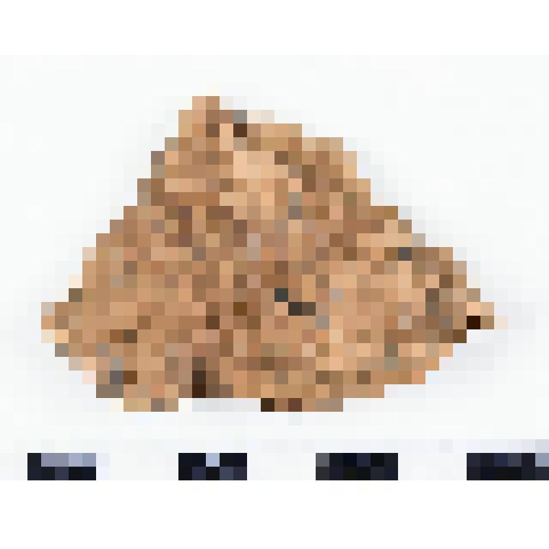 Керамика асбестовая, фрагмент стенки сосуда