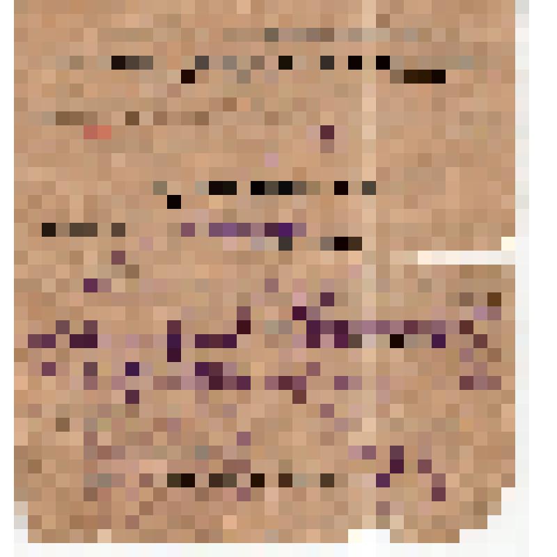 Удостоверение N71 Гарбузова В.М., командированного в Западно-Коннезаводской р-он по подготовке уборочной компании