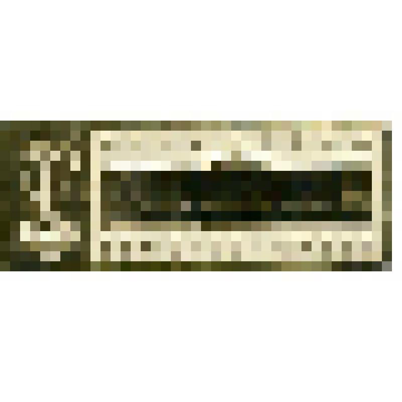 Значок. Ленинград. Русский музей, на булавке. СССР