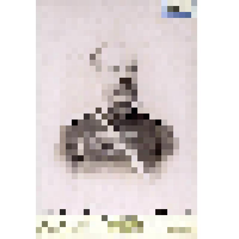 Фотография черно-белая. Бокщанин Ф.В