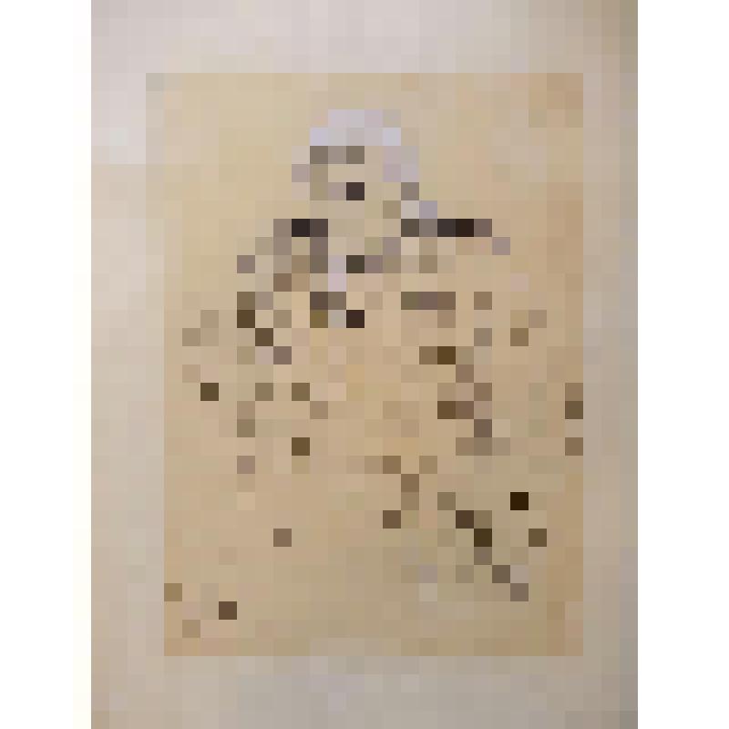 Рисунок. Портрет. А.А.Костромин в роли Кутузова. "Полководец Суворов" (Постановка 1939 г. Режиссер А.Д.Попов). Москва, Центральный театр Красной армии