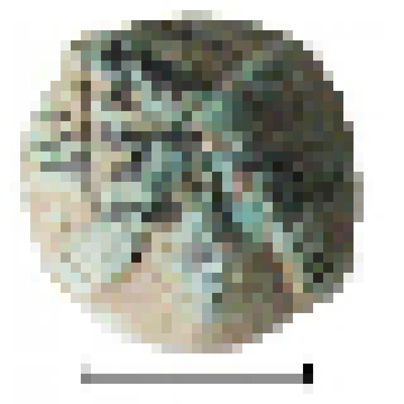 Накладка поясная